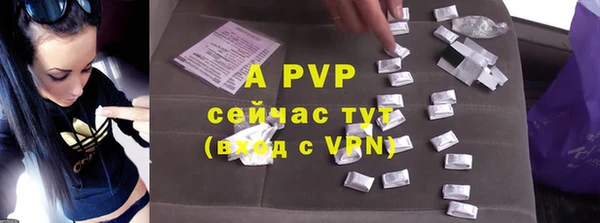 ешки Белокуриха