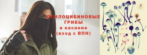 ешки Белокуриха