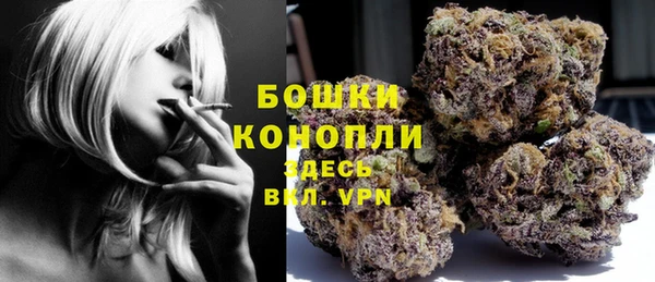 ешки Белокуриха