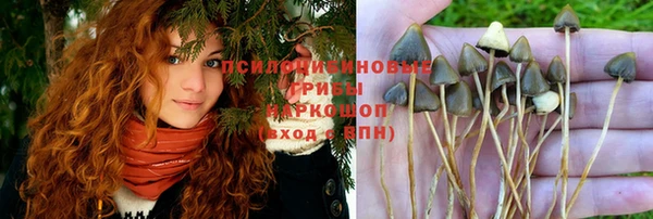 mix Беломорск